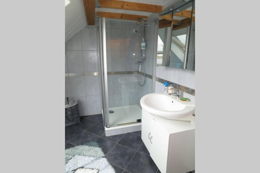 Ferienwohnung Roswitha In Blieskastel Biesingen Экстерьер фото